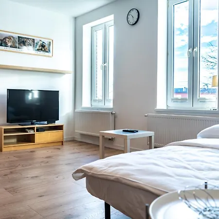 Standard Apartament *